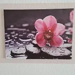 Sattlerbad * ヴェルニゲローデ