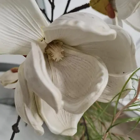 Sattlerbad Apartman