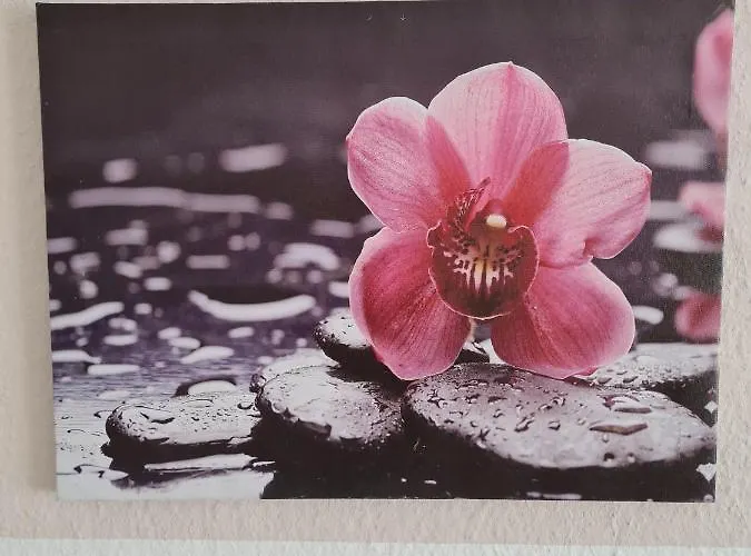 Sattlerbad * ヴェルニゲローデ