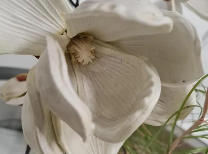 Sattlerbad アパート